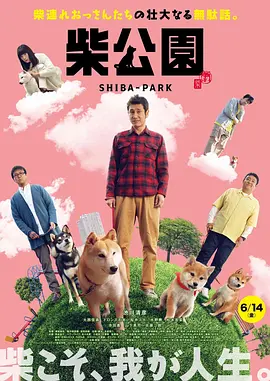 DVD高清完整版